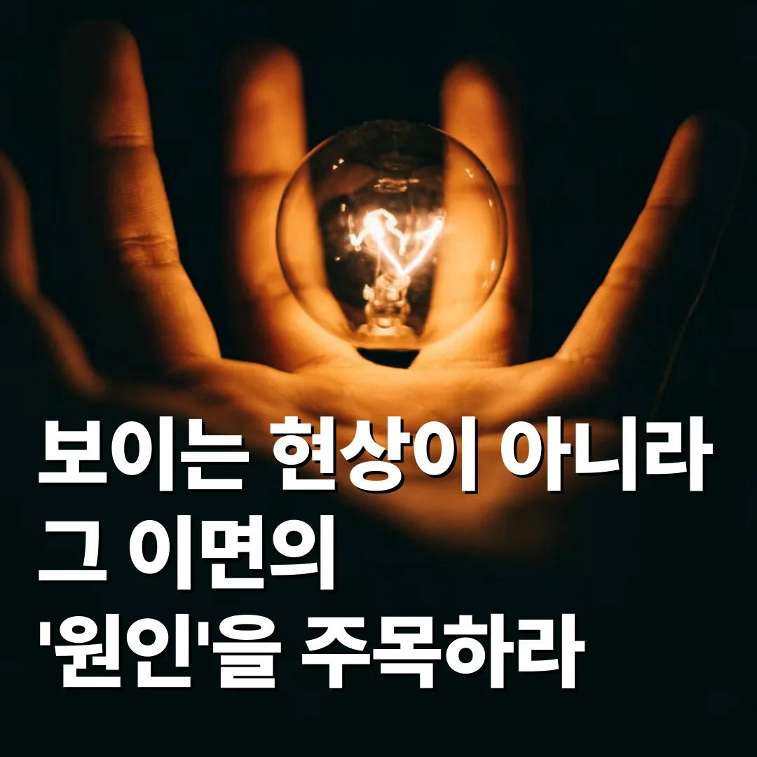 현상이 아닌 원인에 주목할 것
